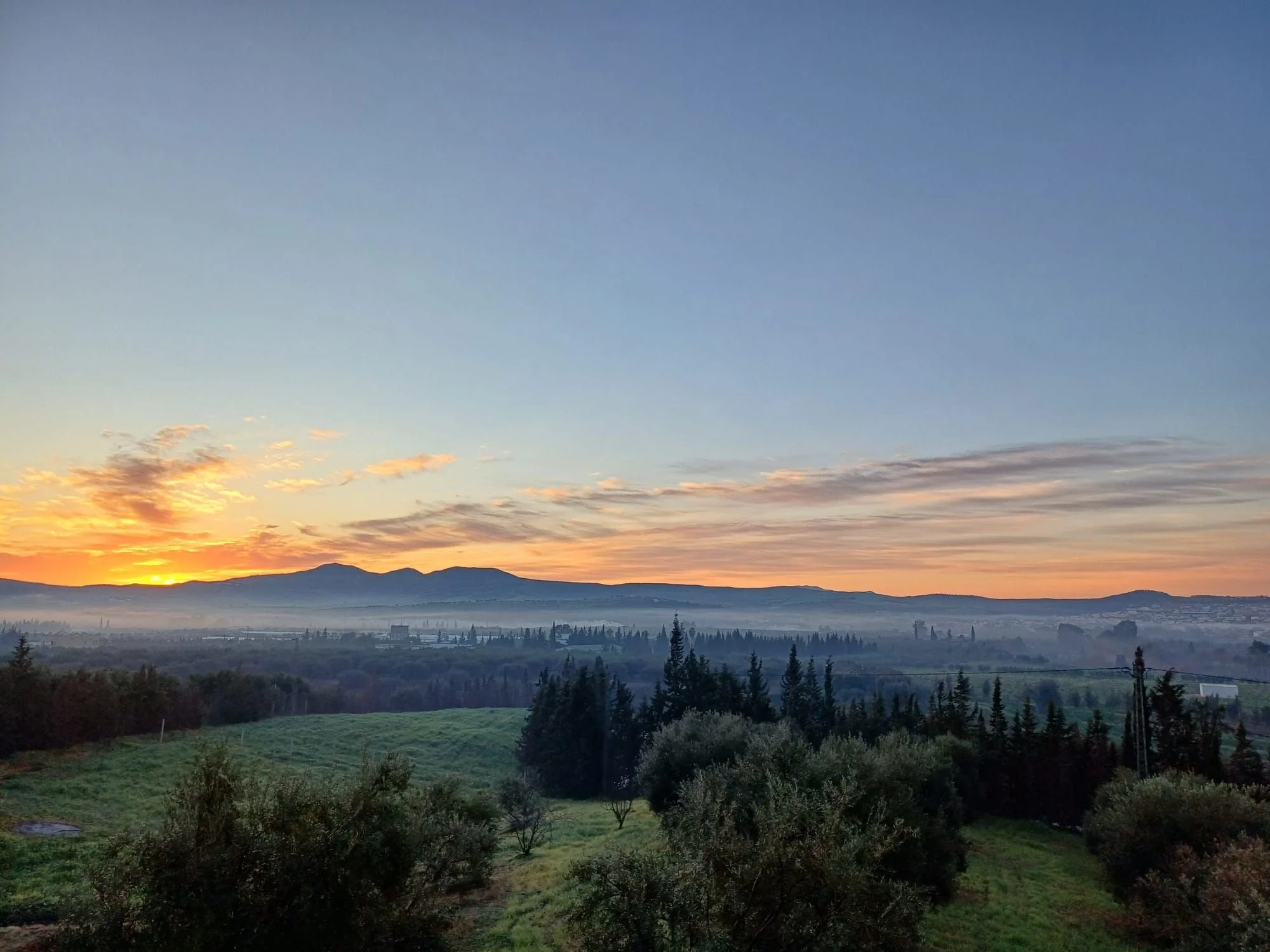 Le Verger des Montagnes à Testour : un havre d’authenticité entre nature, tradition et art de vivre