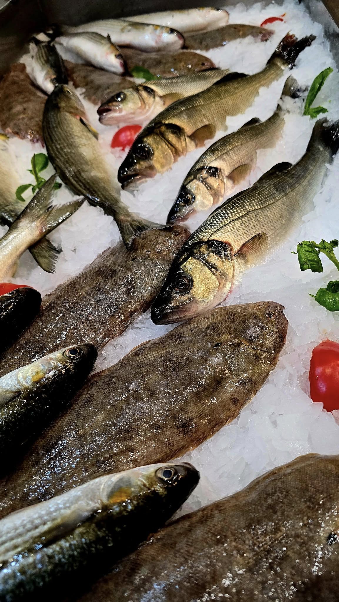 Photo de l'établissement