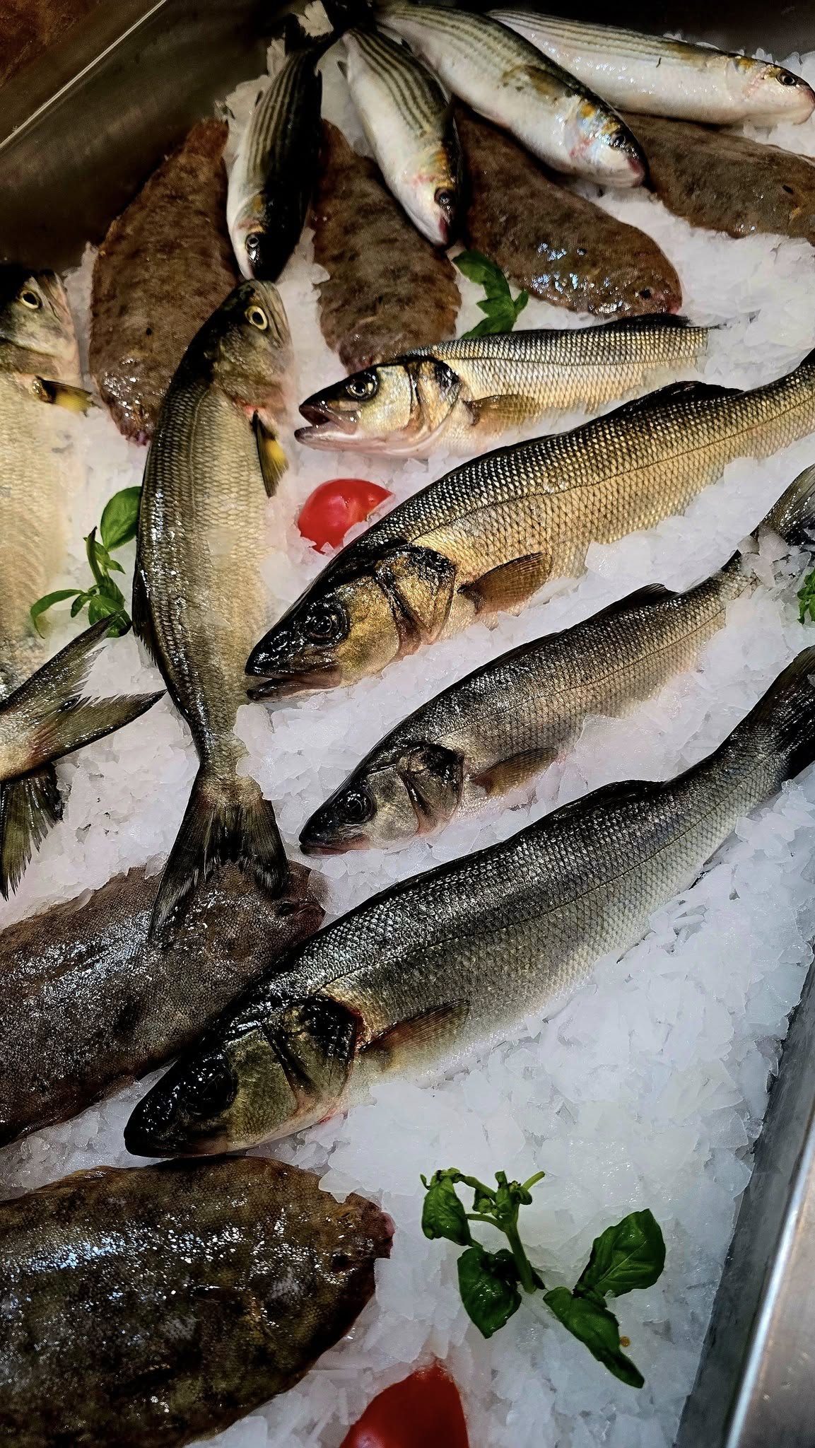 Photo de l'établissement