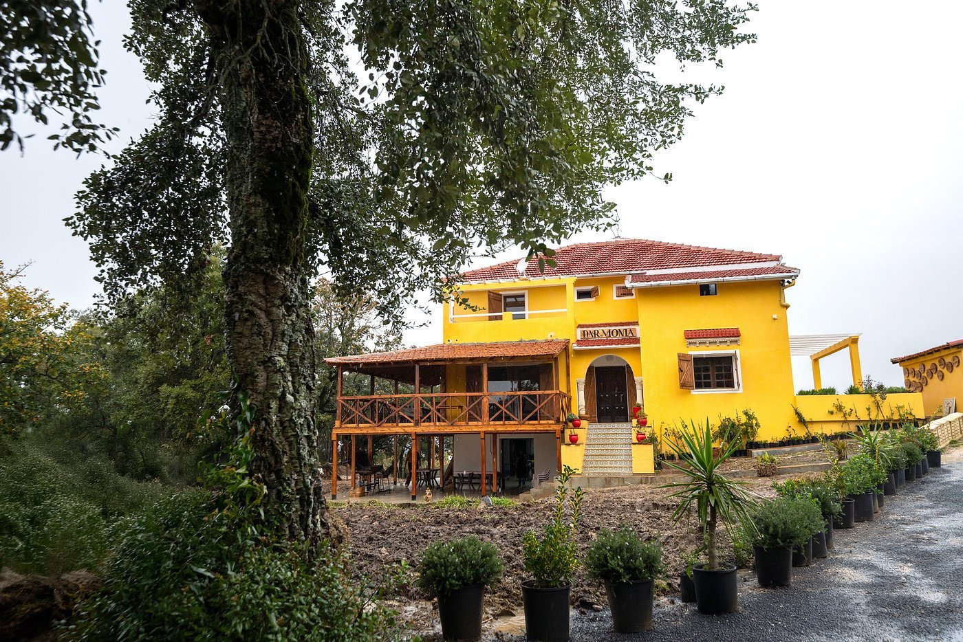 Photo de la galerie