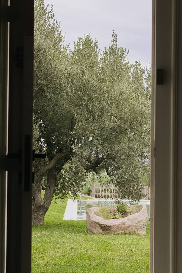 Photo de la galerie