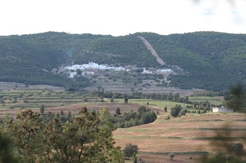 Photo de la galerie