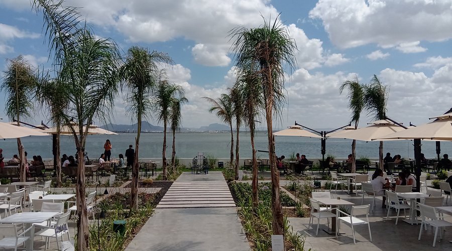 Piscine extérieure d'un hôtel de luxe à Hammamet avec palmiers et ciel bleu